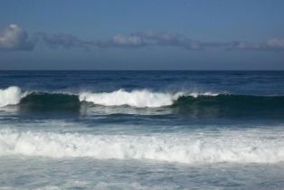 Residential Lease, 240 Coast, CA  , CA 92037