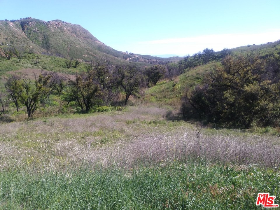 , 2517 Encinal Canyon rd, Malibu, CA 90265 - 1