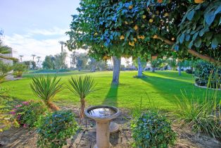Residential Lease, 913 Inverness Drive, Rancho Mirage, CA  Rancho Mirage, CA 92270