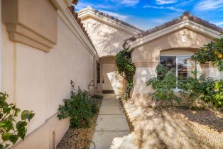 Single Family Residence, 78252 Yucca Blossom Drive, Palm Desert, CA  Palm Desert, CA 92211