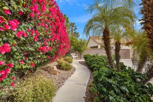 Single Family Residence, 35104 Staccato st, Palm Desert, CA 92211 - 25