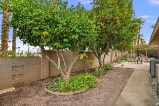 Single Family Residence, 75493 Stardust ln, Indian Wells, CA 92210 - 46