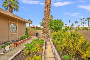 Single Family Residence, 75493 Stardust ln, Indian Wells, CA 92210 - 47