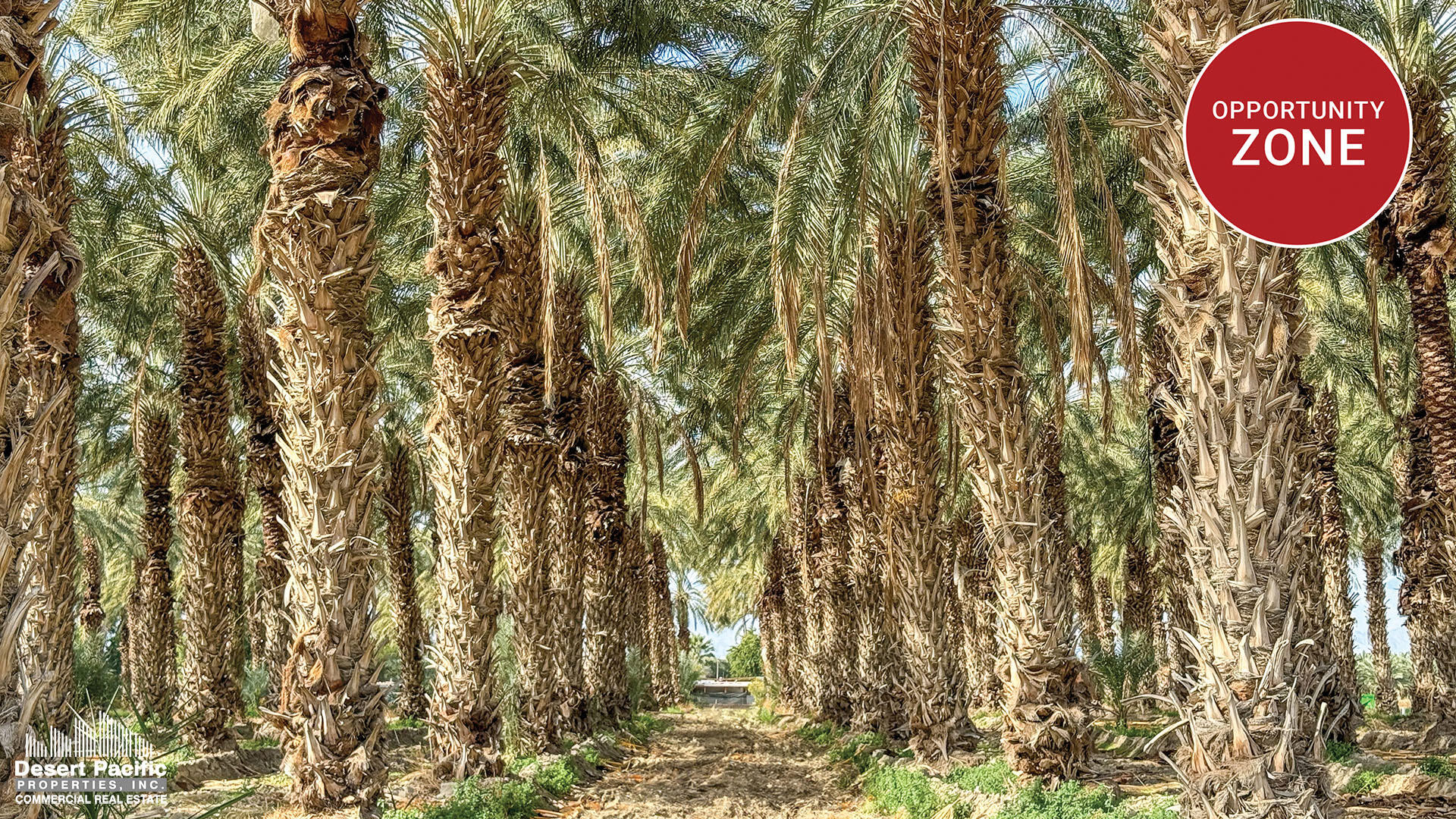 , 0 Swc Pierce St & Ave 58, Thermal, CA 92274 - 1