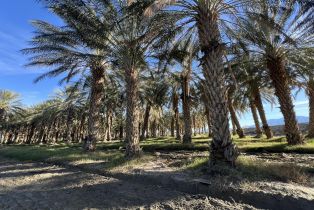 , 0 Nwc Pierce St & Ave 64, Thermal, CA 92274 - 25