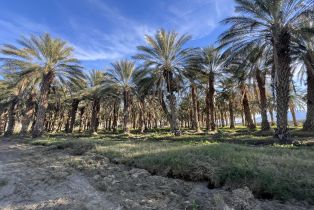 , 0 Nwc Pierce St & Ave 64, Thermal, CA 92274 - 27