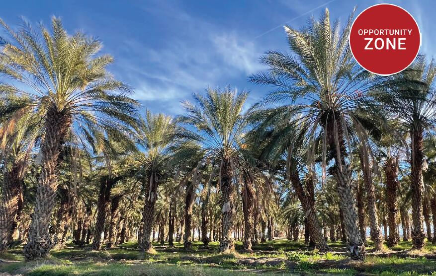 , 0 Nwc Pierce St & Ave 64, Thermal, CA 92274 - 1