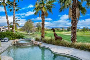 Single Family Residence, 31 Birkdale cir, Rancho Mirage, CA 92270 - 33