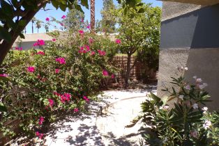 Single Family Residence, 1448 S Sunflower Circle, Palm Springs, CA  Palm Springs, CA 92262