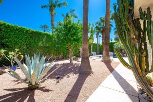Single Family Residence, 47 Mission Palms dr, Rancho Mirage, CA 92270 - 45