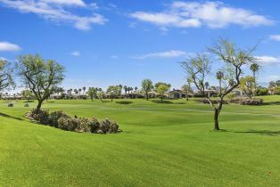 Condominium, 359 Desert Holly dr, Palm Desert, CA 92211 - 34