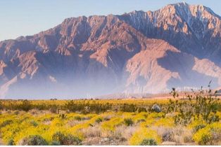 , 1 Skyline dr, Desert Hot Springs, CA 92240 - 8