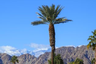 Single Family Residence, 49583 Via Conquistador, La Quinta, CA 92253 - 2