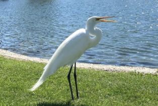 , 74711 Dillon Rd Spc 862, Desert Hot Springs, CA 92241 - 28