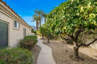 Single Family Residence, 50075 Doral st, La Quinta, CA 92253 - 34