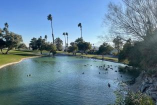 , 74711 Dillon rd, Desert Hot Springs, CA 92241 - 35