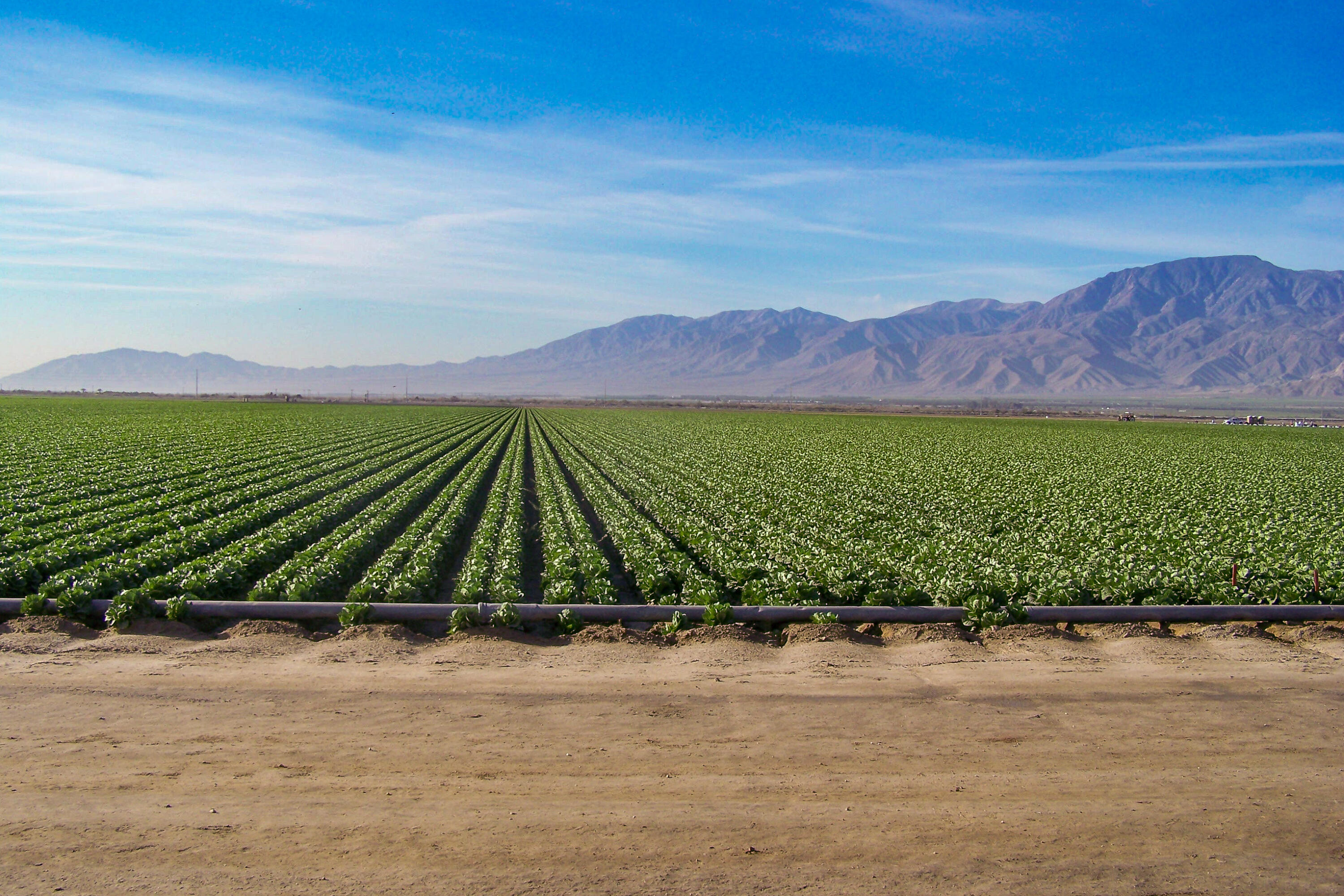 , 0 Swc Harrison St & Ave 77, Thermal, CA 92274 - 1