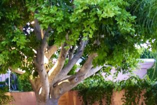 Single Family Residence, 47192 El Agadir, Palm Desert, CA 92260 - 2