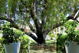 Single Family Residence, 47192 El Agadir, Palm Desert, CA 92260 - 43