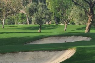 Single Family Residence, 48811 Washington st, La Quinta, CA 92253 - 13