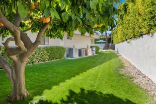 Single Family Residence, 35 Bonita, Rancho Mirage, CA 92270 - 37