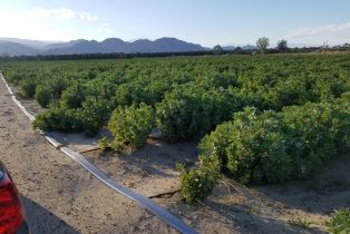 , 58491 Jackson st, Thermal, CA 92274 - 34