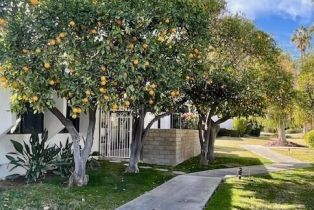Condominium, 1730 Capri cir, Palm Springs, CA 92264 - 22