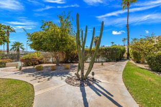 Condominium, 1636 Paseo De La Palma, Palm Springs, CA 92264 - 36