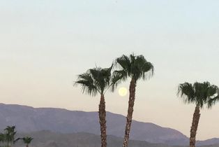 , 38680 Desert Greens dr, Palm Desert, CA 92260 - 34