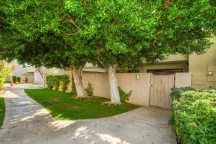 Condominium, 815 Arenas rd, Palm Springs, CA 92262 - 24