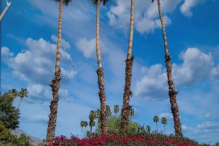 Condominium, 507 Desert Lakes cir, Palm Springs, CA 92264 - 77