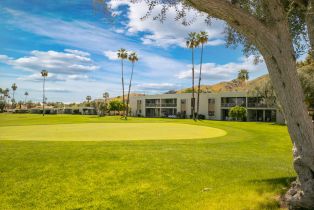 Condominium, 507 Desert Lakes cir, Palm Springs, CA 92264 - 8