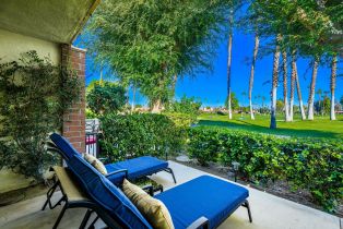 Condominium, 146 Las Lomas, Palm Desert, CA 92260 - 35