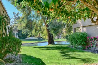 Condominium, 7529 Regency dr, Palm Springs, CA 92264 - 5