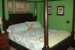 Residential Income, 66254 Desert View ave, Desert Hot Springs, CA 92240 - 7