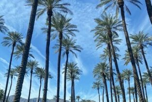 Single Family Residence, 79835 Sandia, La Quinta, CA 92253 - 62