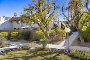 Condominium, 350 Santa Elena rd, Palm Springs, CA 92262 - 24