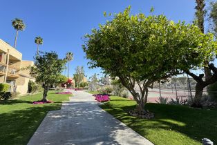 Condominium, 5300 Waverly dr, Palm Springs, CA 92264 - 12