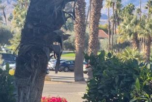 Condominium, 310 Forest Hills dr, Rancho Mirage, CA 92270 - 16