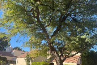 Condominium, 310 Forest Hills dr, Rancho Mirage, CA 92270 - 40