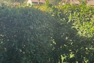 Condominium, 310 Forest Hills dr, Rancho Mirage, CA 92270 - 41