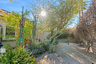 Single Family Residence, 664 Lily st, Palm Springs, CA 92262 - 6