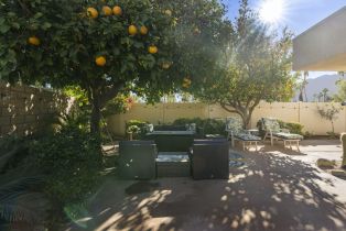 Condominium, 1433 Sunflower cir, Palm Springs, CA 92262 - 7
