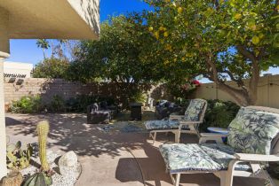 Condominium, 1433 Sunflower cir, Palm Springs, CA 92262 - 8