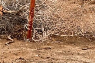 , 2459 Shore Gem, Thermal, CA 92274 - 12