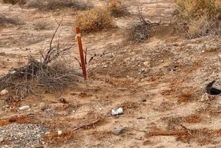 , 2459 Shore Gem, Thermal, CA 92274 - 14