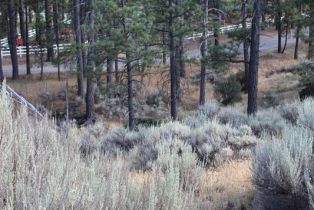 , 30 Butterfly Peak rd, Mountain Center, CA 92561 - 11