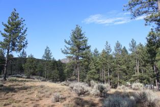 , 30 Butterfly Peak rd, Mountain Center, CA 92561 - 17