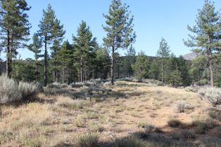 , 30 Butterfly Peak rd, Mountain Center, CA 92561 - 18