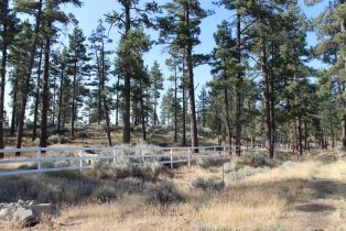 , 30 Butterfly Peak rd, Mountain Center, CA 92561 - 2